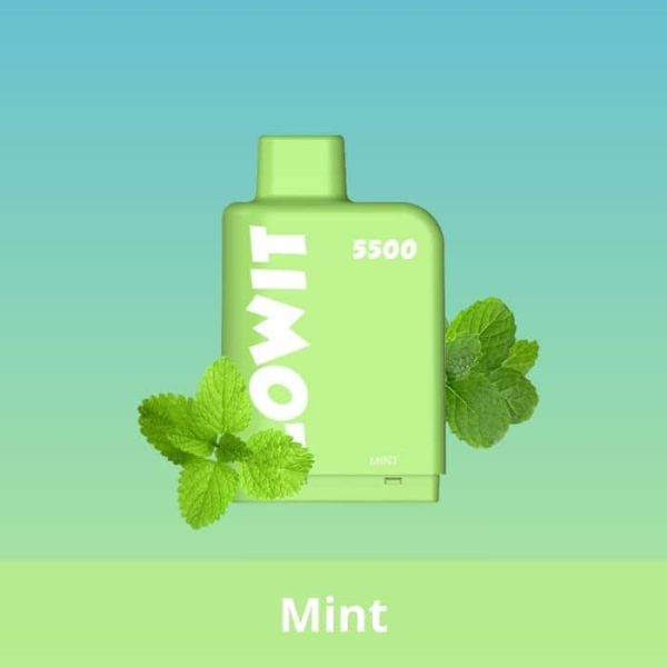 Mint - Capsulas Lowit - 5500 Puffs - Elfbar - Image 2